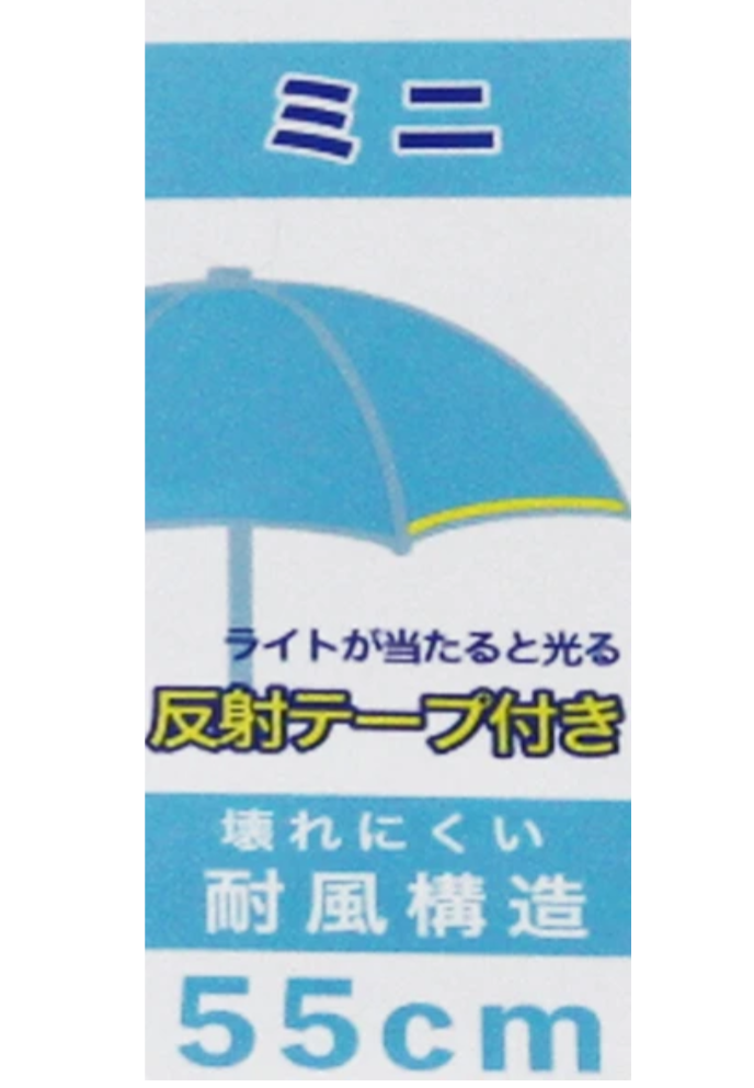 Japan Umbrellas
