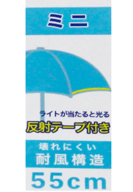 Japan Umbrellas