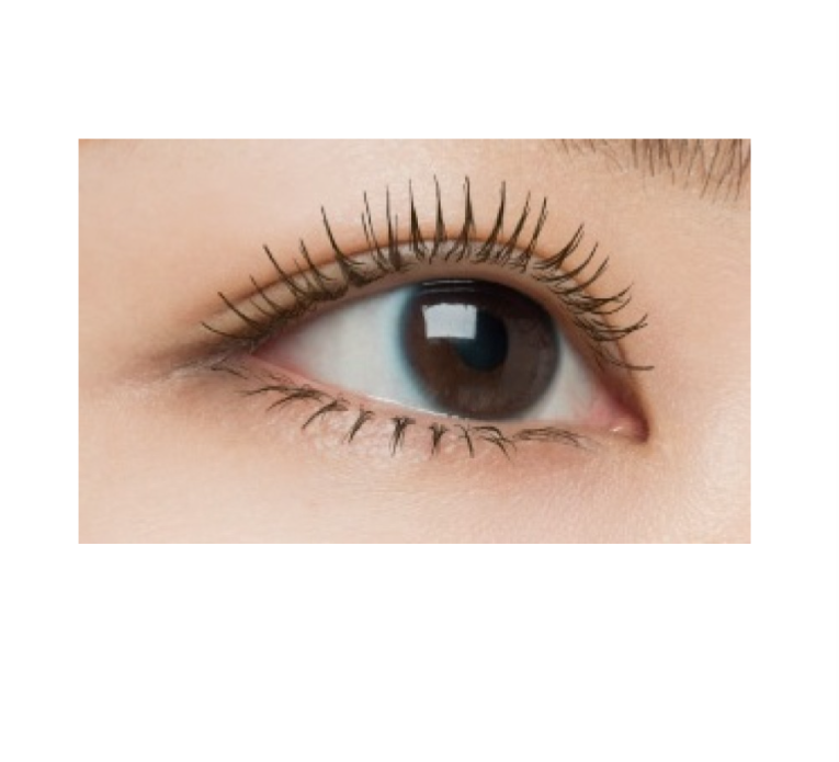 Quick Lash Curler Clear Japan
