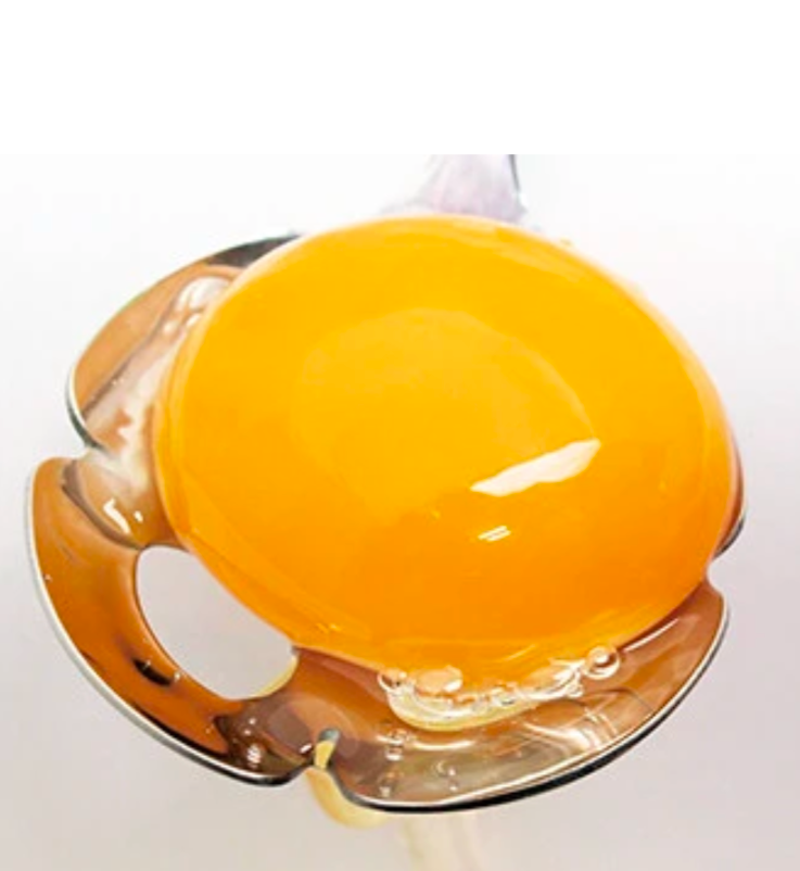 Scoop stainless Japan