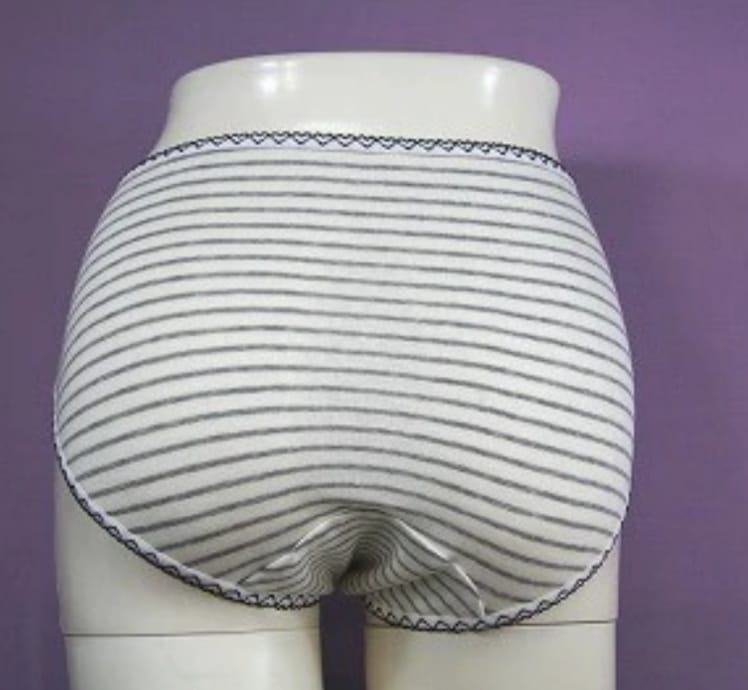 Made in Japan Sanitary Underwear